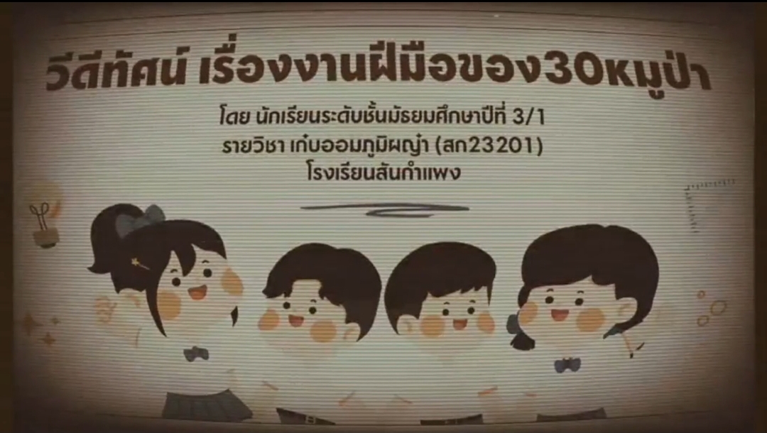 ปกผลงาน งานฝีมือของ 30 หมูป่า
